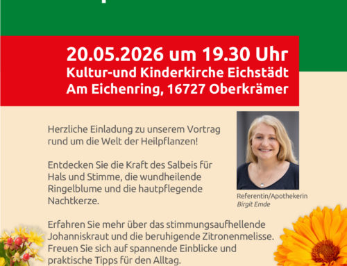 5 Heilpflanzen im Fokus
