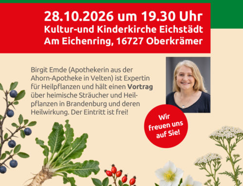 Heilpflanzen im Herbst – altbewährtes Wissen neu entdecken